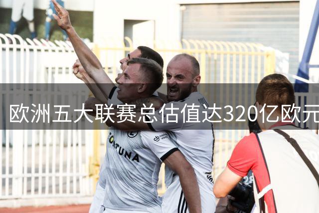 欧洲五大联赛总估值达320亿欧元 英超贡献近四成